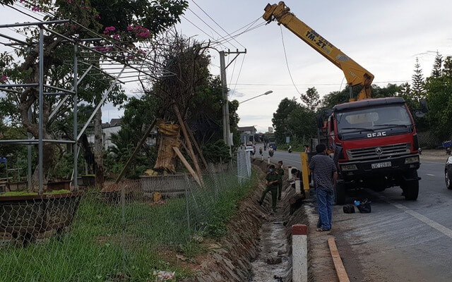 Đơn vị cho thuê cẩu vận chuyển cây cảnh tại Hải Phòng đáng tin cậy